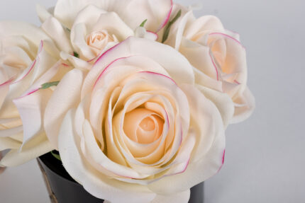 DIFUUSOR FIVE ROSE PINK