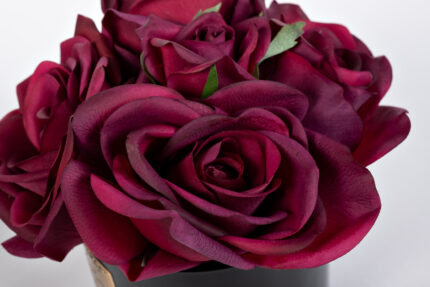 DIFUUSOR FIVE ROSE RED